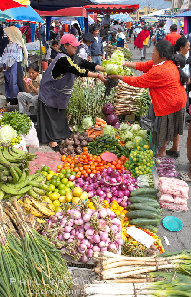 Woman selecting fresh produce